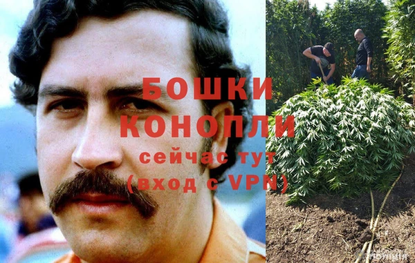 бошки Богородск