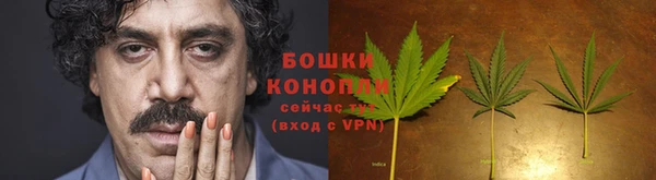 кокс Богданович