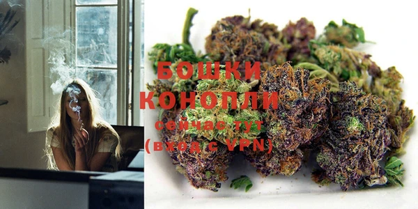 кокс Богданович