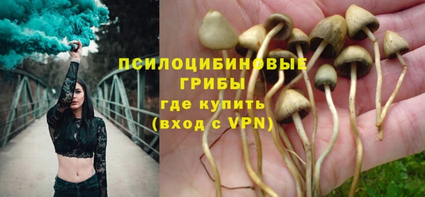 бошки Богородск