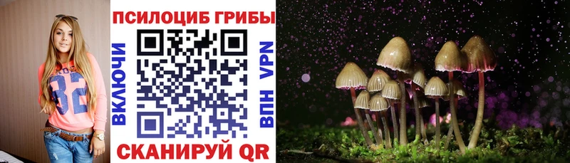 Псилоцибиновые грибы Psilocybine cubensis  даркнет сайт  Тотьма 